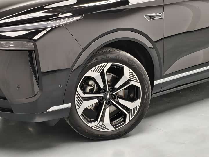 Фото 4 - Wey Lanshan