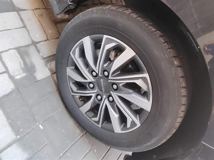 Фото 6 - Maxus G20