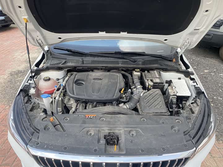 Фото 7 - Geely Emgrand