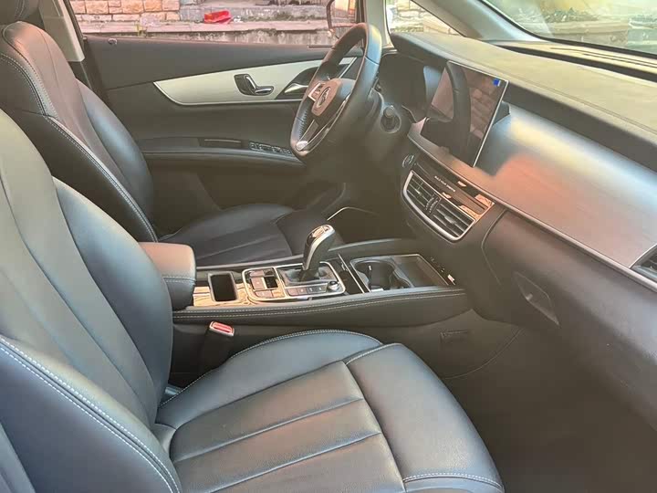 Фото 4 - BYD Song Max