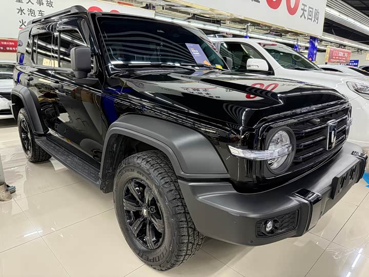 Фото 2 - Tank 300