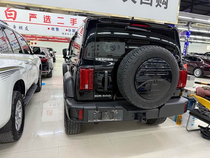 Фото 3 - Tank 300