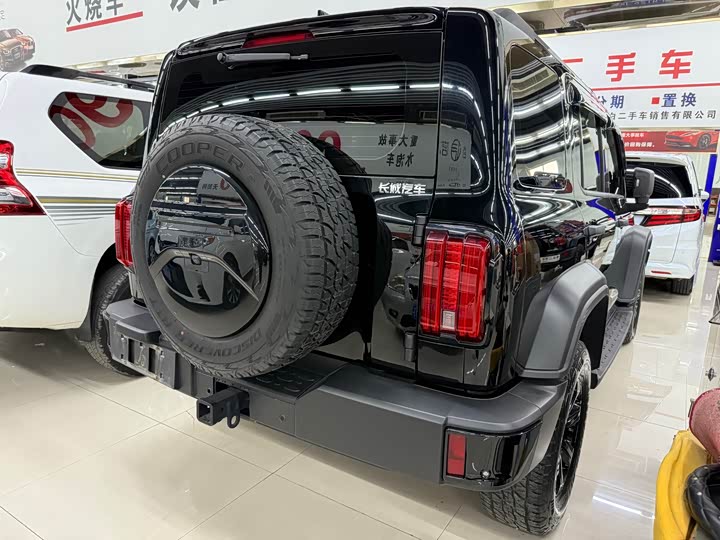 Фото 4 - Tank 300