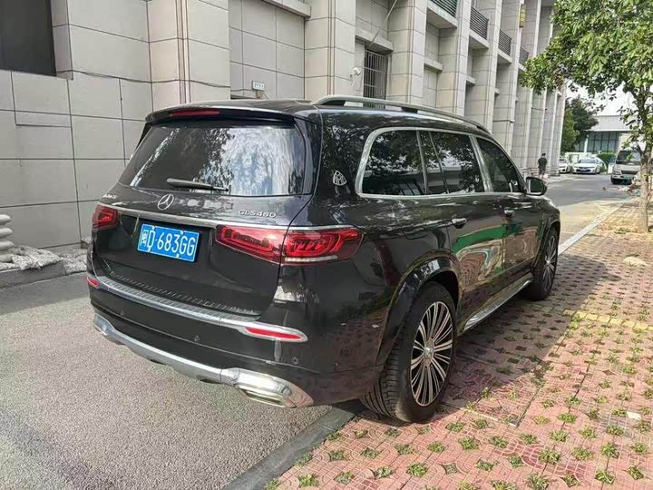 Фото 9 - Mercedes-Benz Maybach GLS