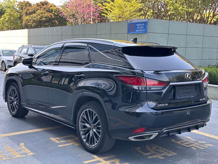 Фото 4 - Lexus RX