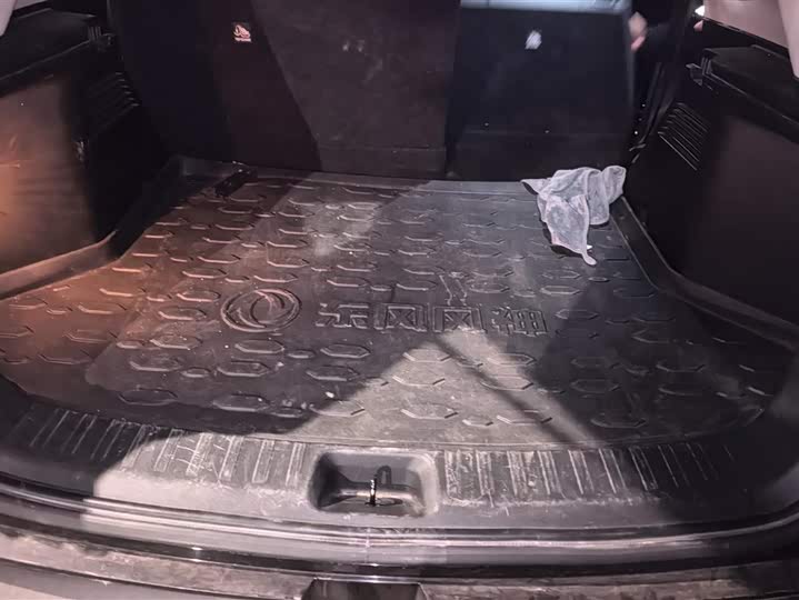 Фото 4 - Dongfeng Aeolus AX7