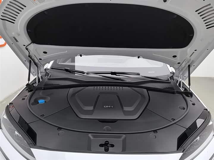 Фото 6 - BYD Song Plus Hybrid/EV