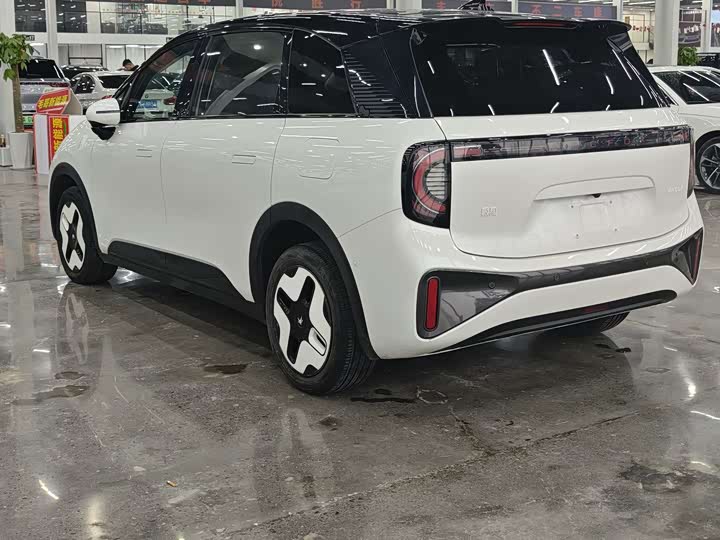 Photo 6 - BAIC Arcfox Kaola