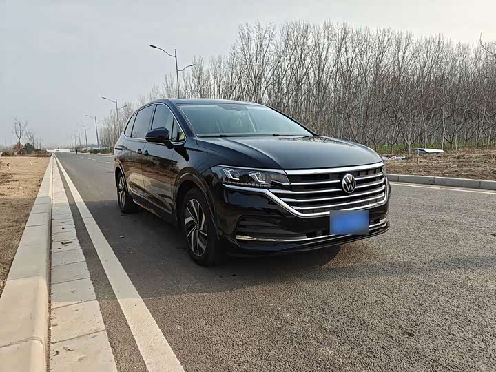 Фото 3 - Volkswagen Viloran