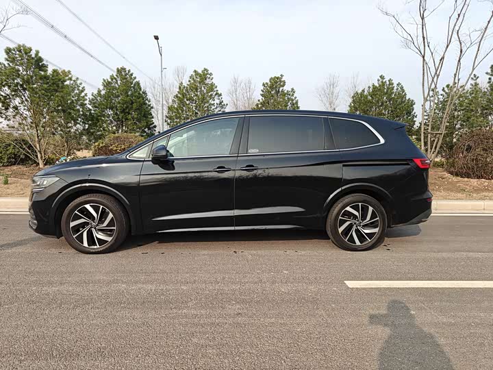 Фото 7 - Volkswagen Viloran