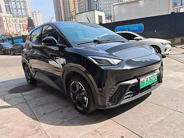 Фото 2 - BYD Seagull