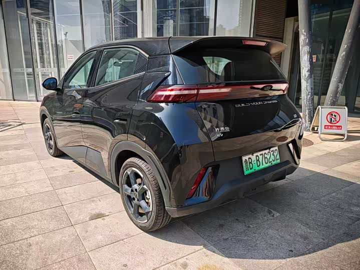 Фото 4 - BYD Seagull