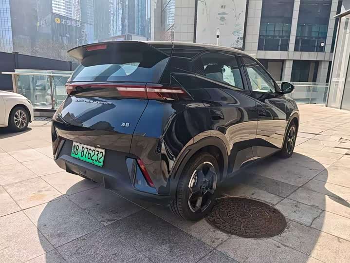 Фото 5 - BYD Seagull