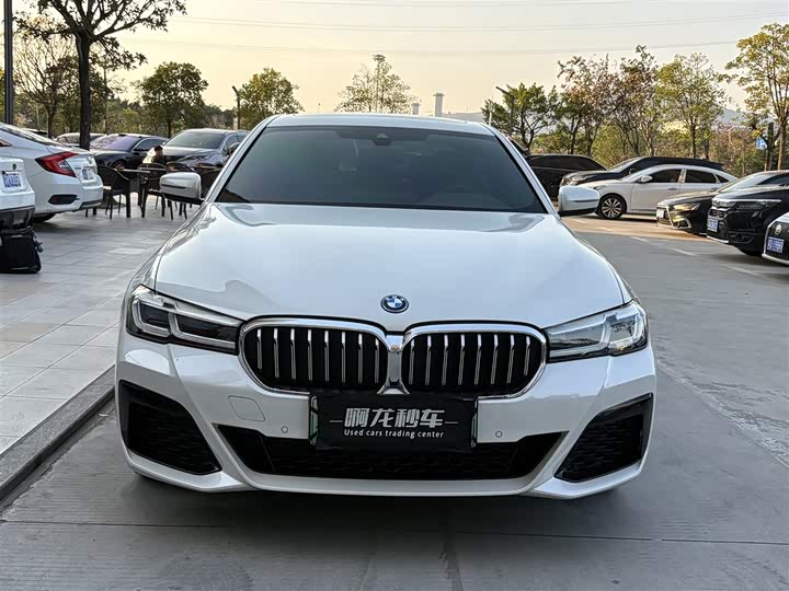 2022 BMW 5 Series Hybrid