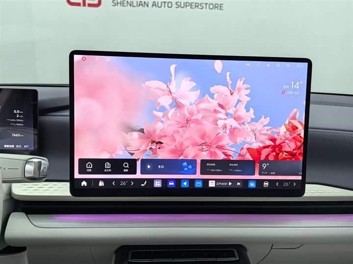 Фото 4 - Buick Electra L7