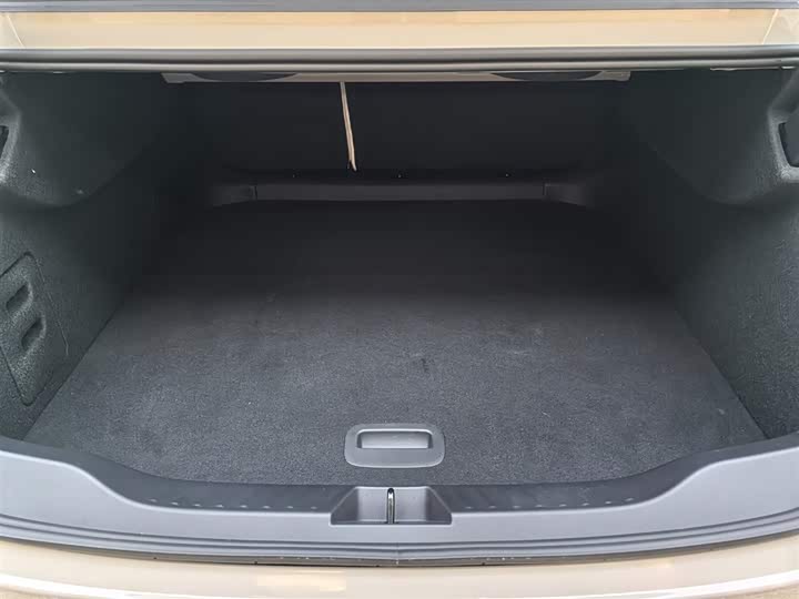 Фото 8 - Buick Electra L7