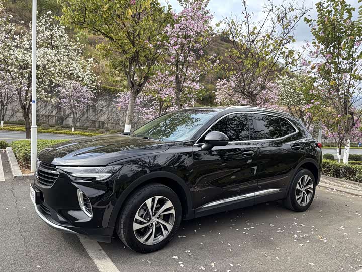 Фото 1 - Buick Envision Plus