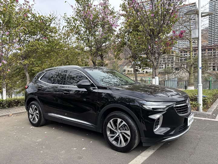 Фото 3 - Buick Envision Plus