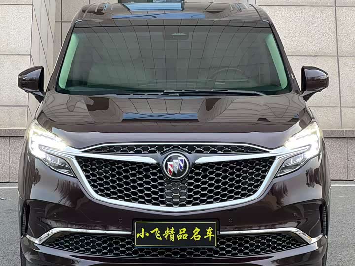 Фото 1 - Buick GL8 ES