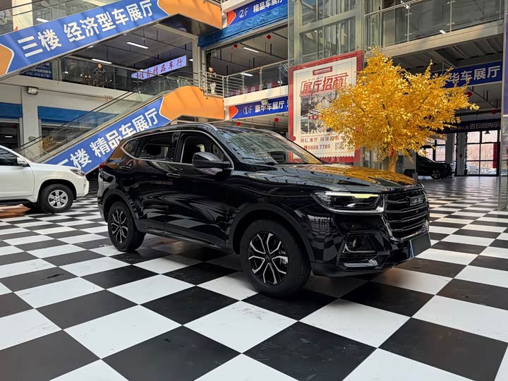 Фото 3 - Haval H6