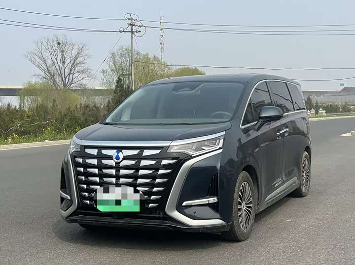 Фото 1 - Denza D9