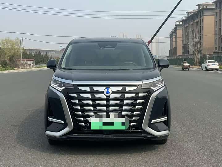 Фото 2 - Denza D9