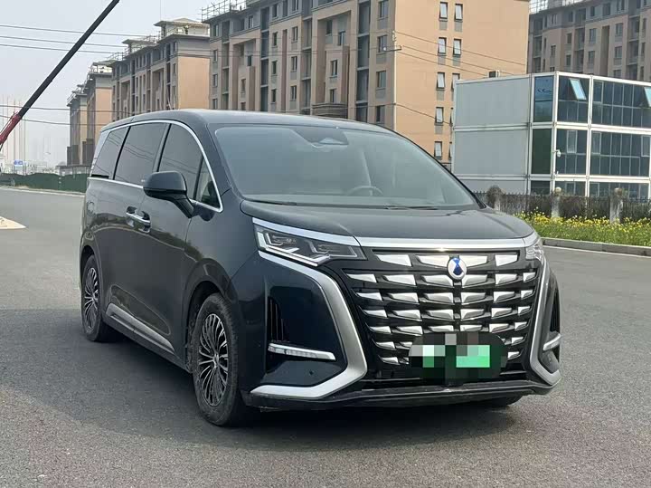 Фото 3 - Denza D9