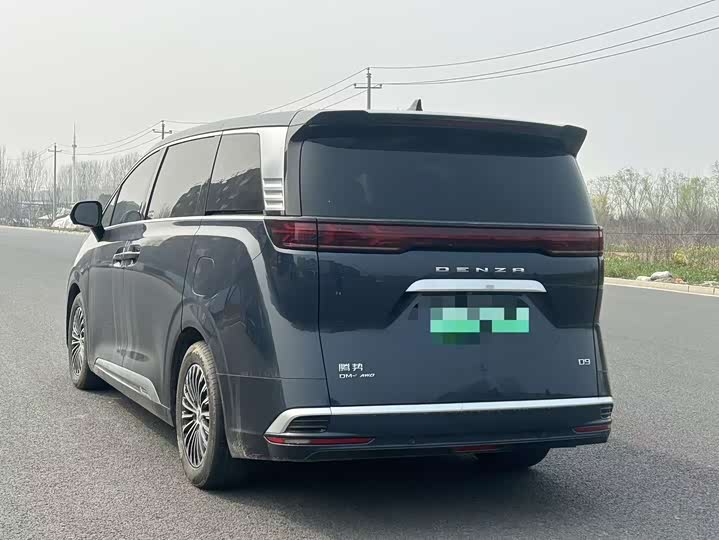 Фото 9 - Denza D9