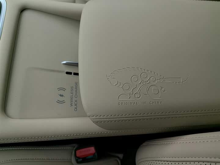 Фото 6 - Geely Monjaro