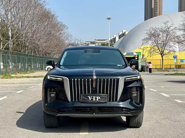 Фото 2 - Hongqi E-HS9