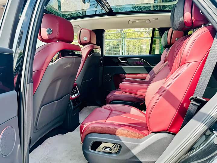 Фото 6 - Hongqi E-HS9