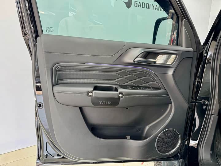 Фото 8 - Tank 300