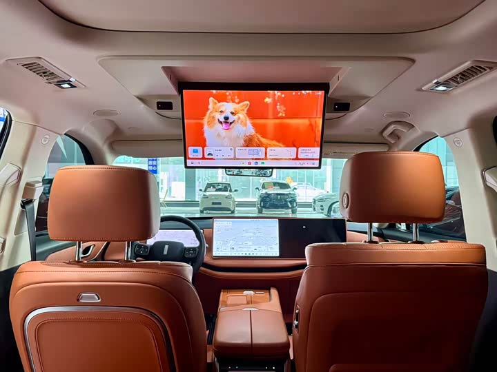 Фото 5 - Wey Lanshan