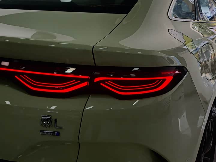 Фото 8 - BYD Qin L