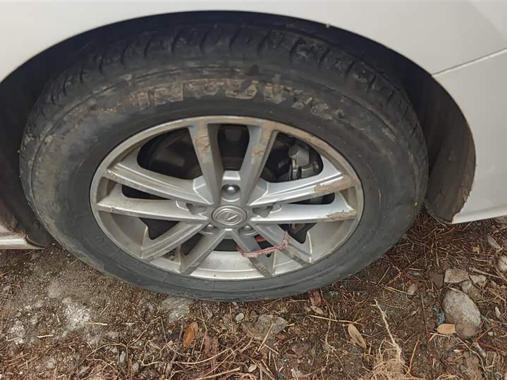 Фото 6 - Changan Raeton CC