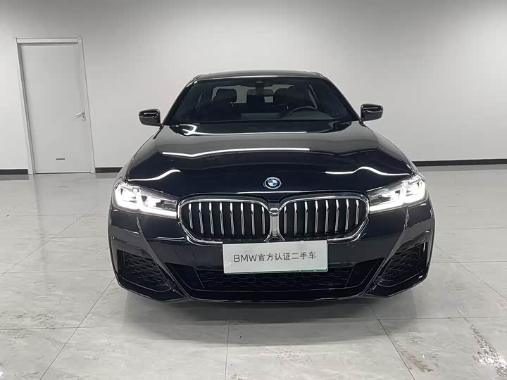 Фото 2 - BMW 5 Series Hybrid