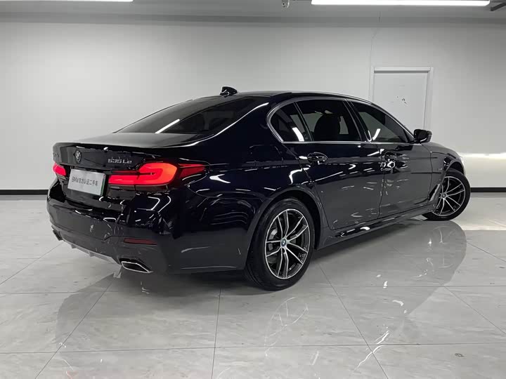 Фото 4 - BMW 5 Series Hybrid