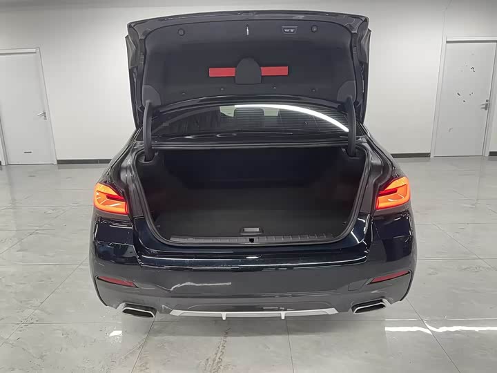 Фото 6 - BMW 5 Series Hybrid