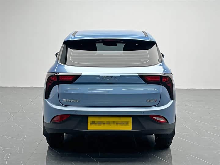 Фото 5 - Hozon V