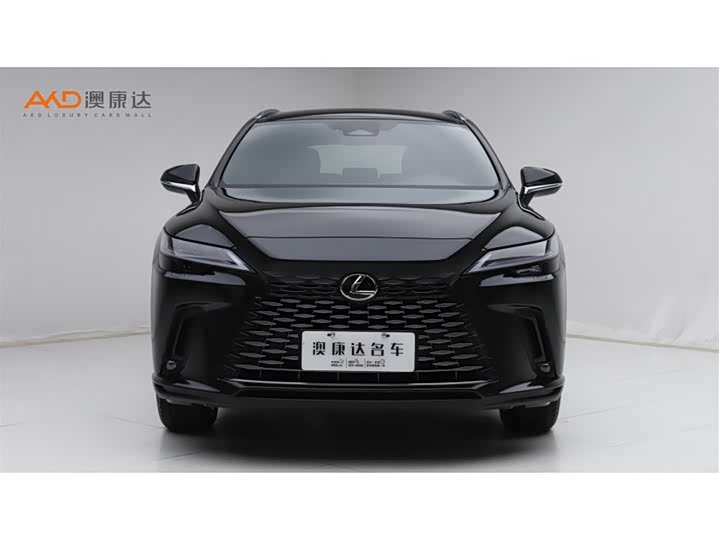 Фото 2 - Lexus RX