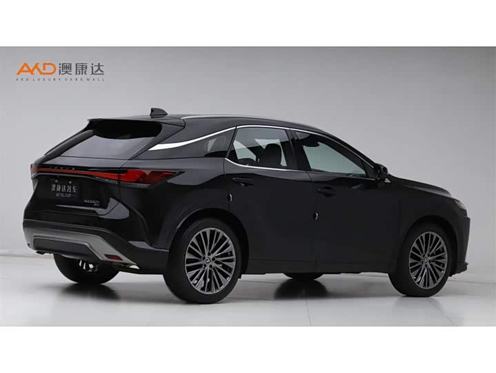 Фото 3 - Lexus RX