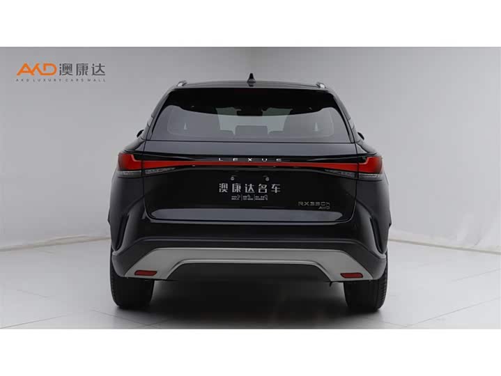 Фото 4 - Lexus RX