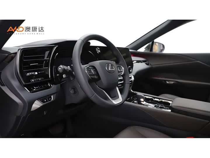 Фото 6 - Lexus RX