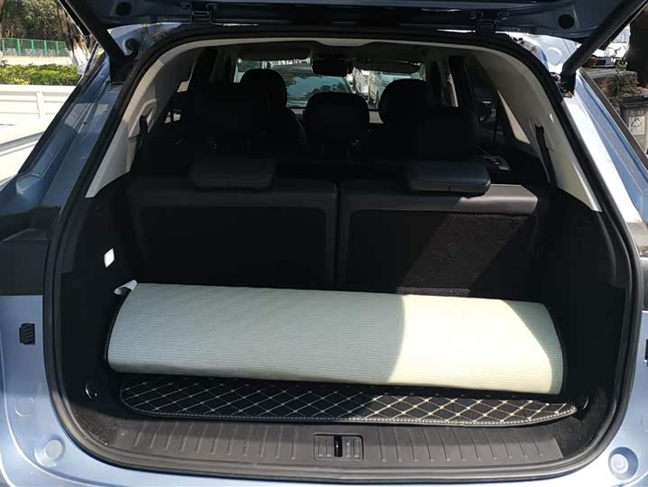 Photo 4 - Chery Fulwin T9