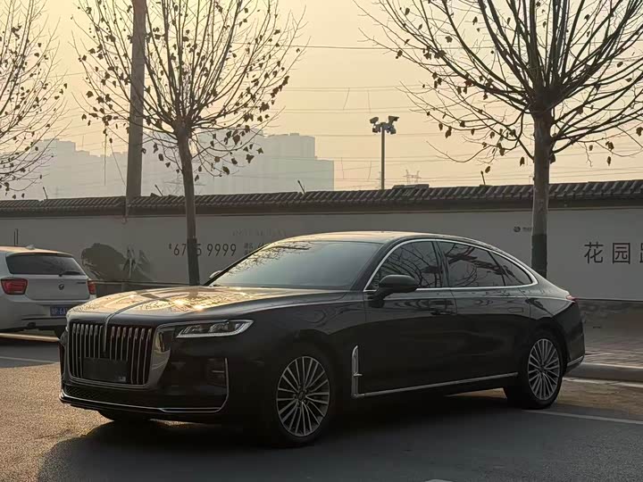 Фото 1 - Hongqi H9