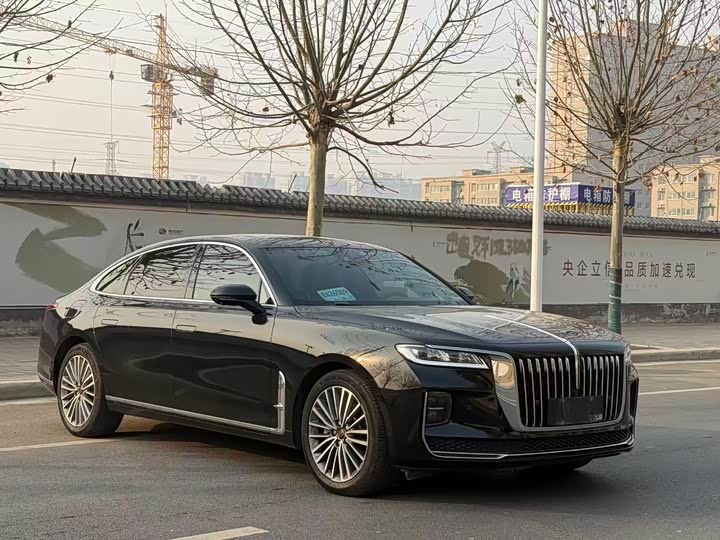 Фото 3 - Hongqi H9