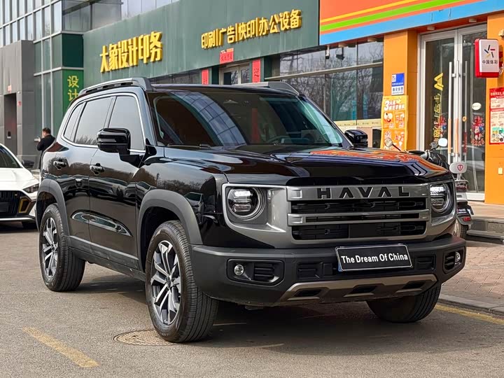 Фото 3 - Haval Dargo