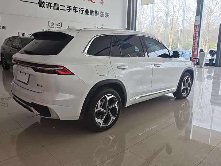 Фото 4 - Geely Monjaro