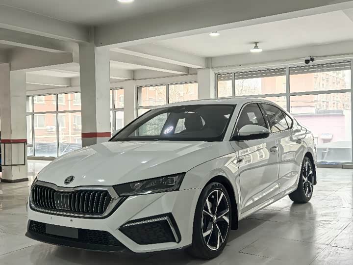 Фото 1 - Skoda Octavia Pro