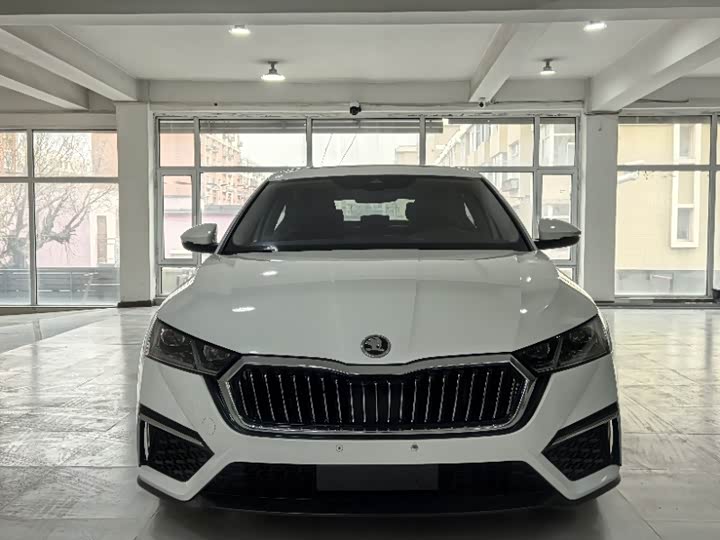 Фото 2 - Skoda Octavia Pro